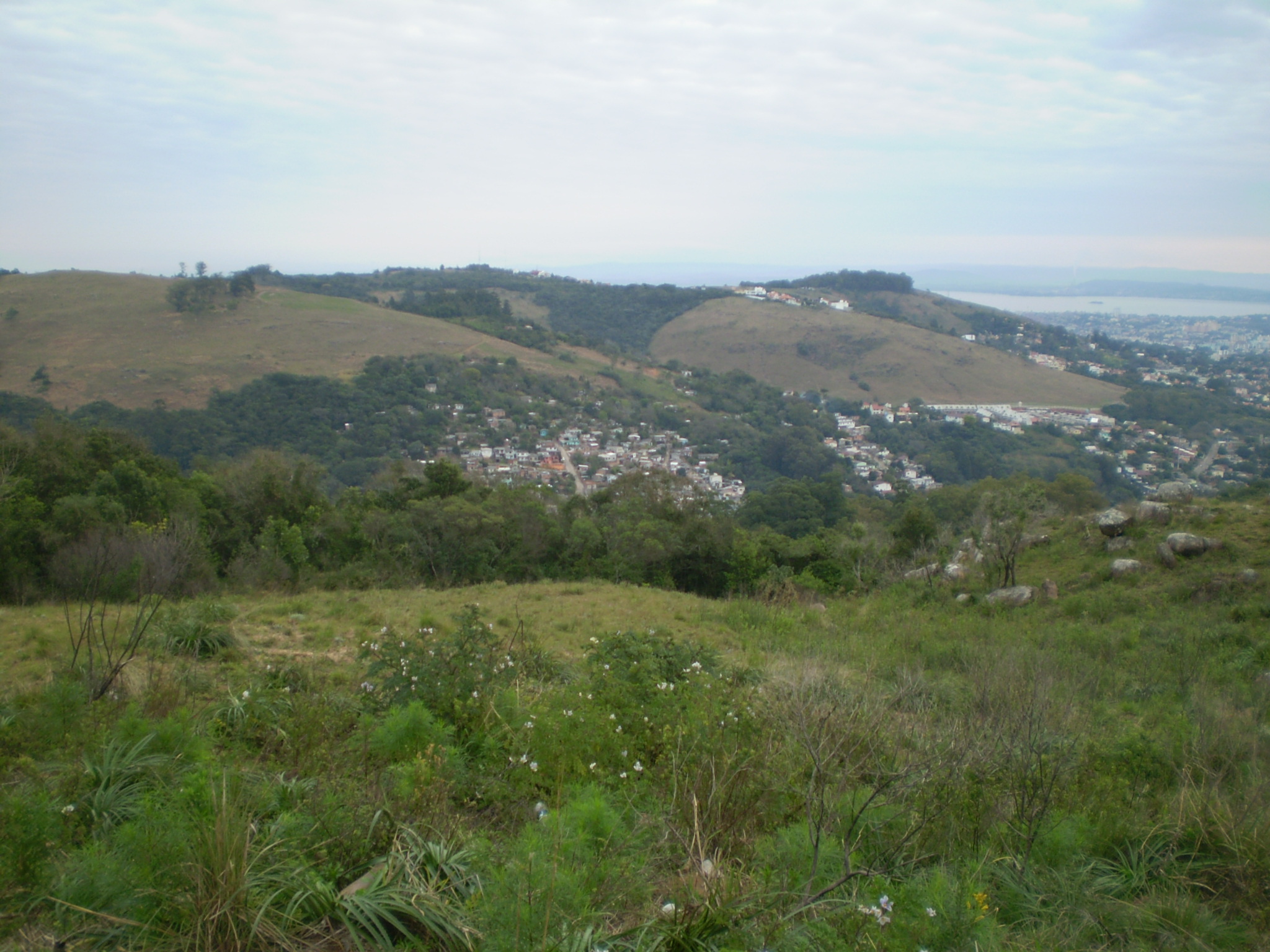 Trilha da Apamecor e Morro da Polícia (Mirante da Embratel) - Foto 1