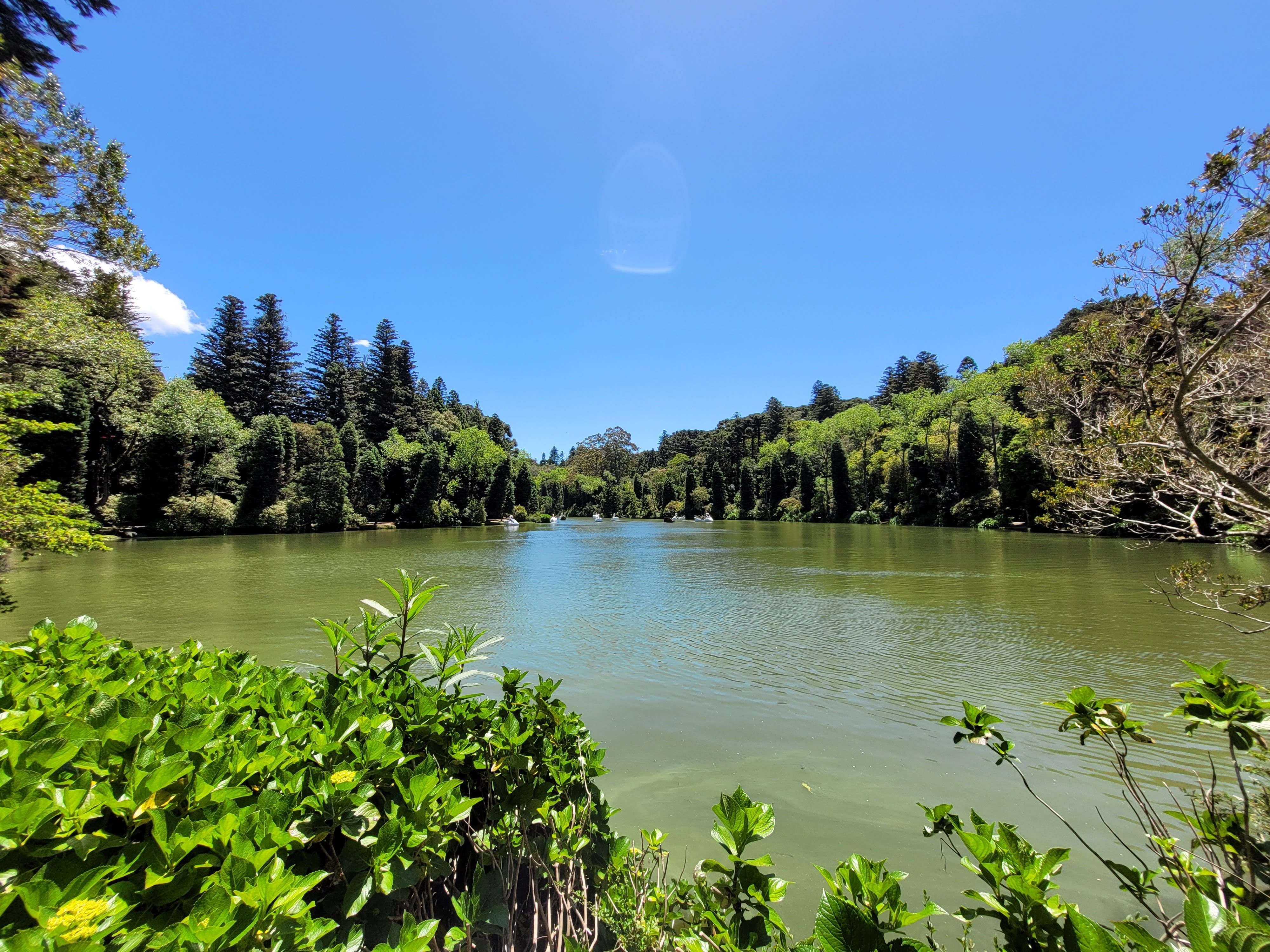 Trilha Ecológica do Lago Negro (Circuito das Hortênsias) - Foto 1