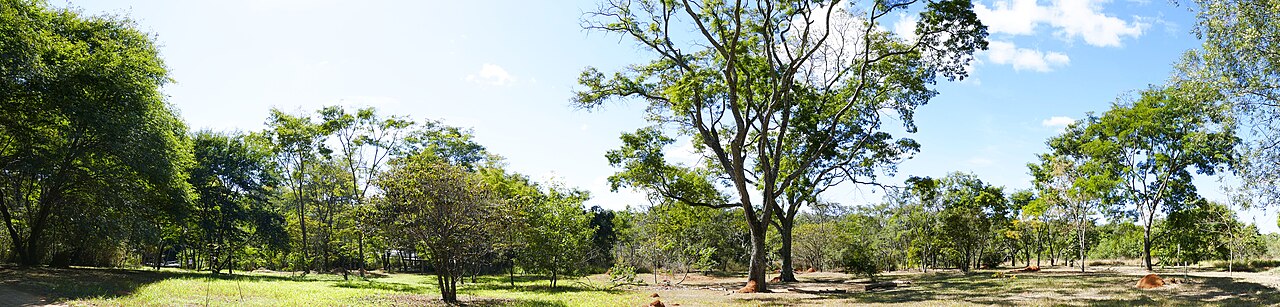 Trilha da Sucupira - Parque Olhos D'Água - Foto 1