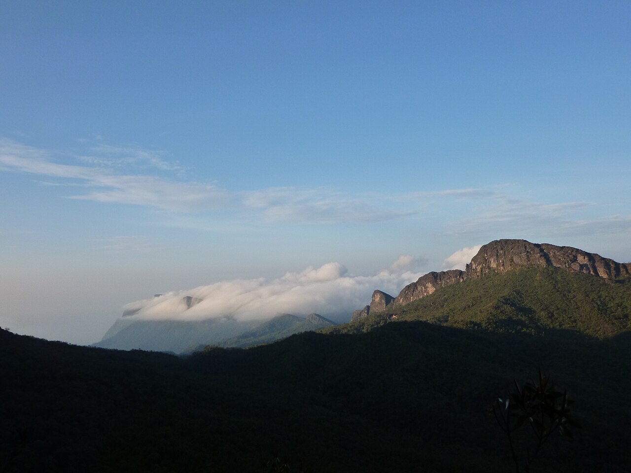 Expedição Pico da Neblina (Yaripo) - Foto 1