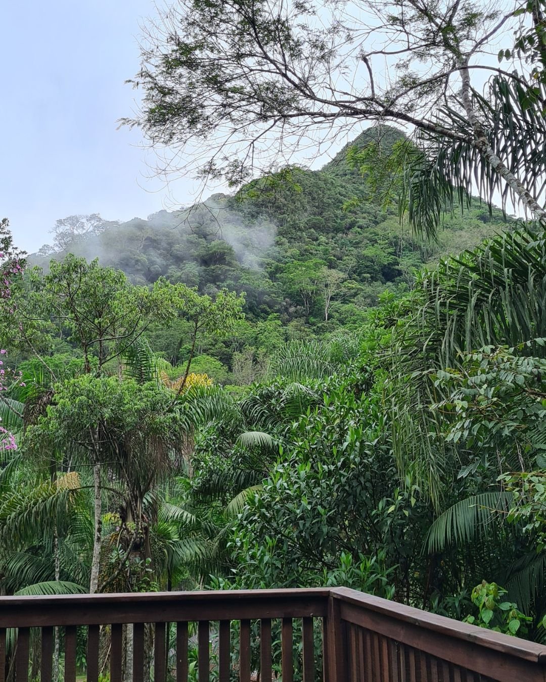 Mata Atlântica e relevo montanhoso da Serra de Paranapiacaba em Iporanga