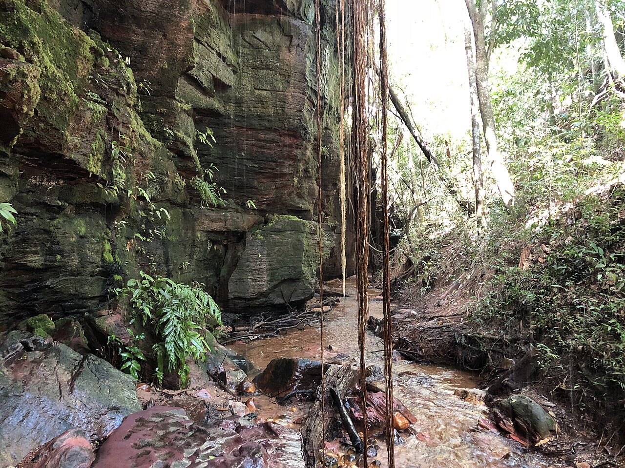 Trilha do Cânion Sussuapara (Ponte Alta do Tocantins) - Foto 1