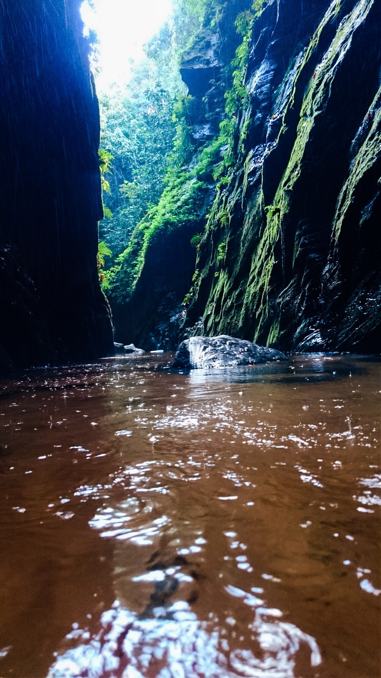 Santuário Ecológico da Pedra Caída (Cachoeira do Santuário) - Foto 1