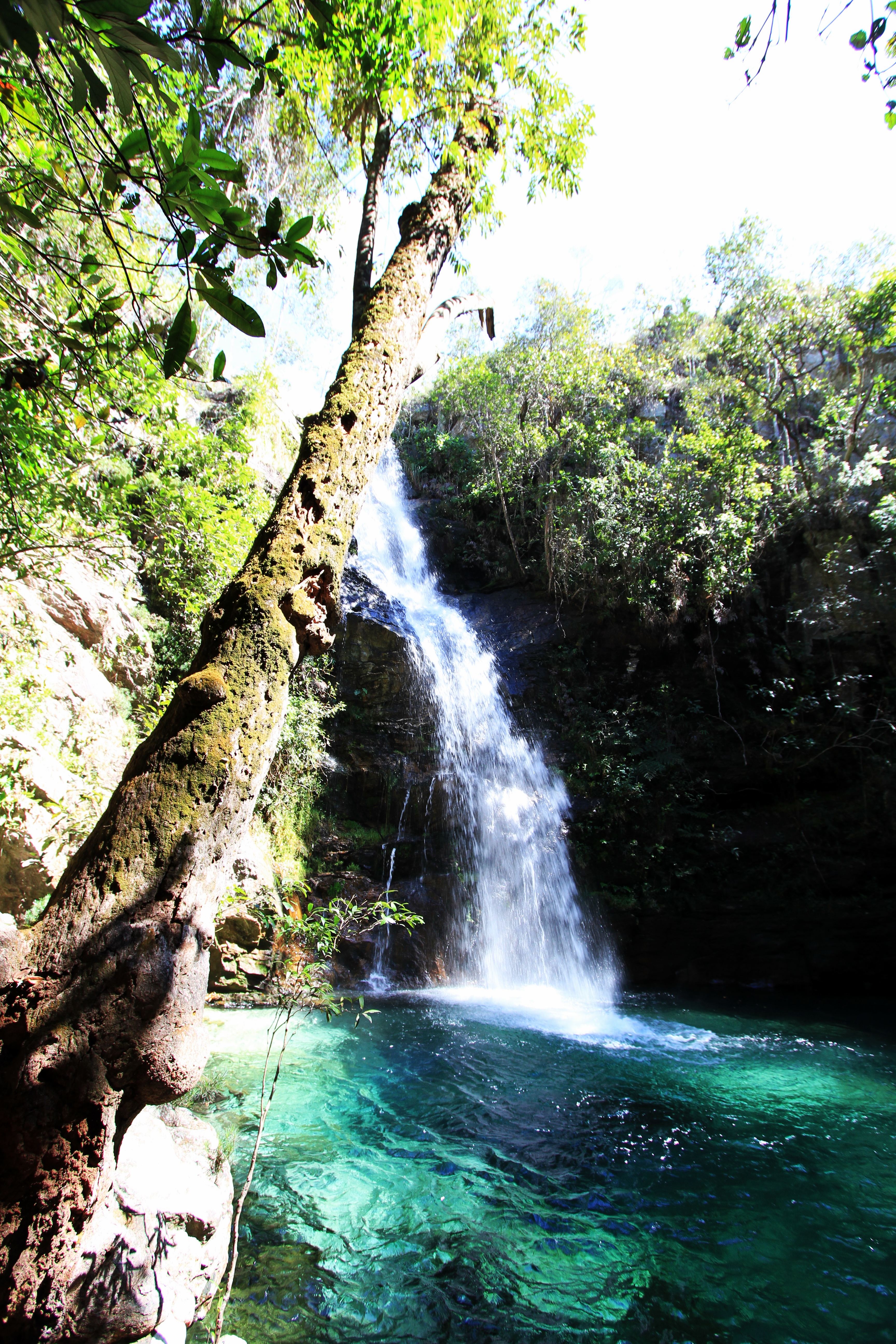 Trilha da Cachoeira Santa Bárbara (Quilombo Kalunga) - Foto 1