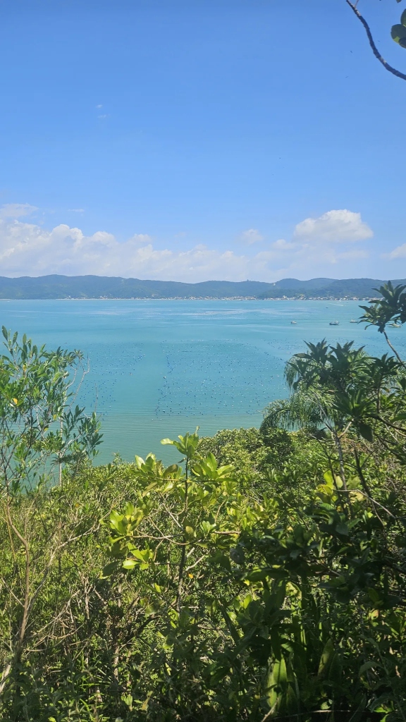 Visual panorâmico das águas verde-esmeralda do Mar de Dentro ao longo da Trilha da Tainha
