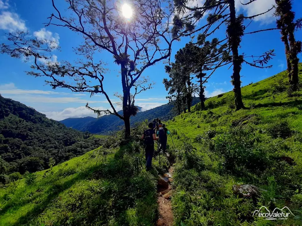 Caminho do Café