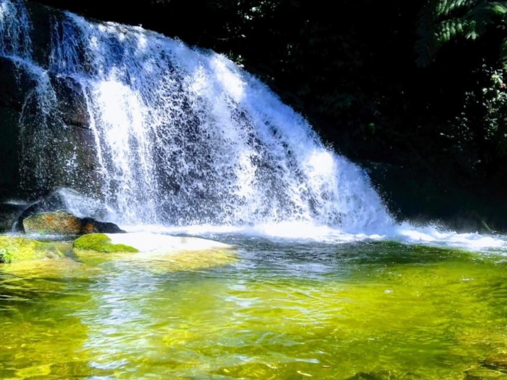 Trilha da Cachoeira do Ribeirão Branco